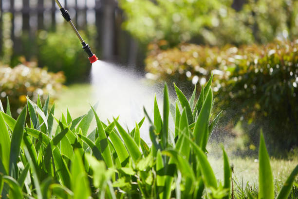 24/7 Emergency Mosquito Control experts in Gallatin, TN